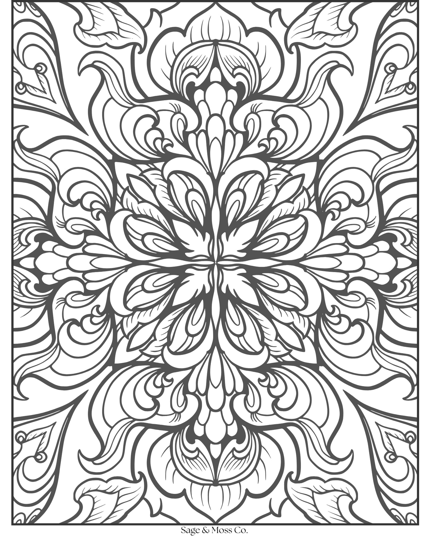 Coloring Book 30 Pages