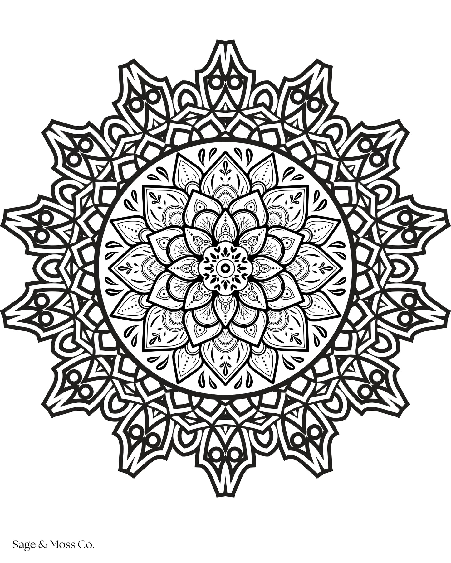 Coloring Book 30 Pages