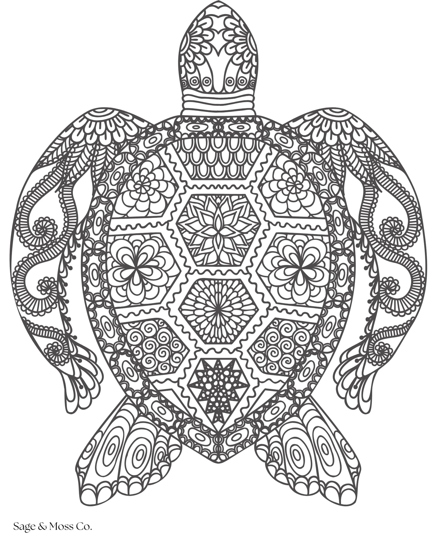 Coloring Book 30 Pages