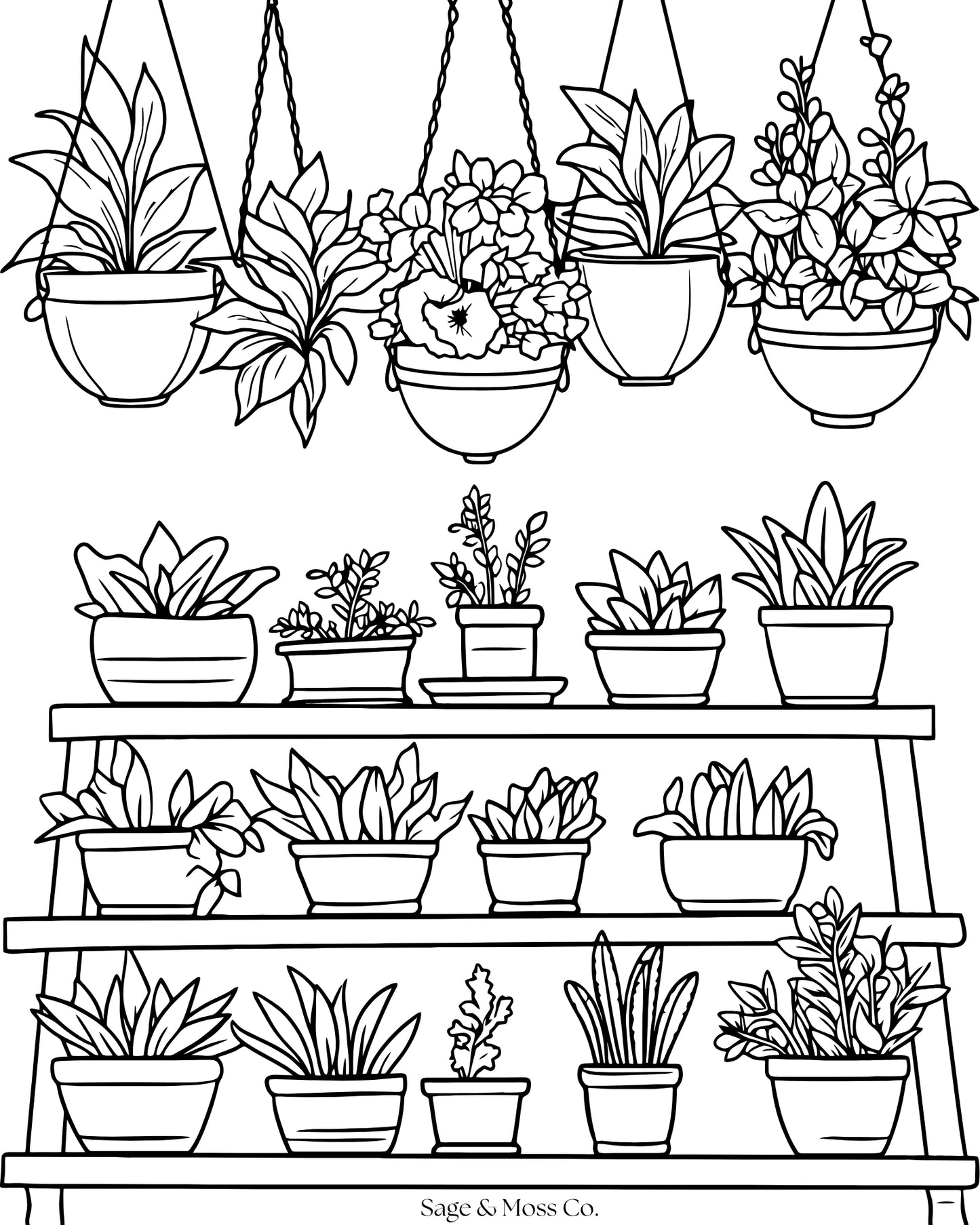 Coloring Book 30 Pages