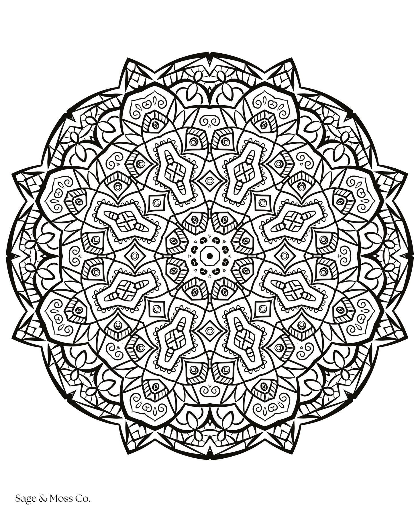 Coloring Book 30 Pages
