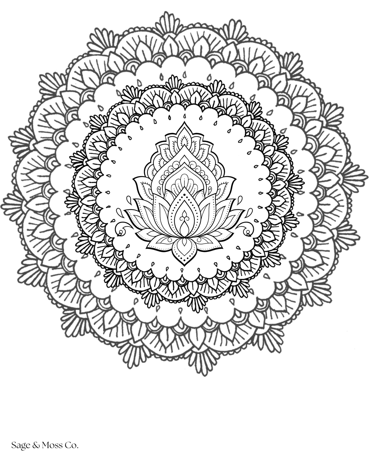Coloring Book 30 Pages