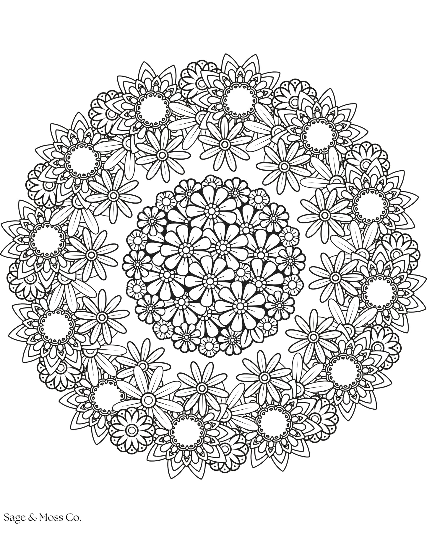 Coloring Book 30 Pages