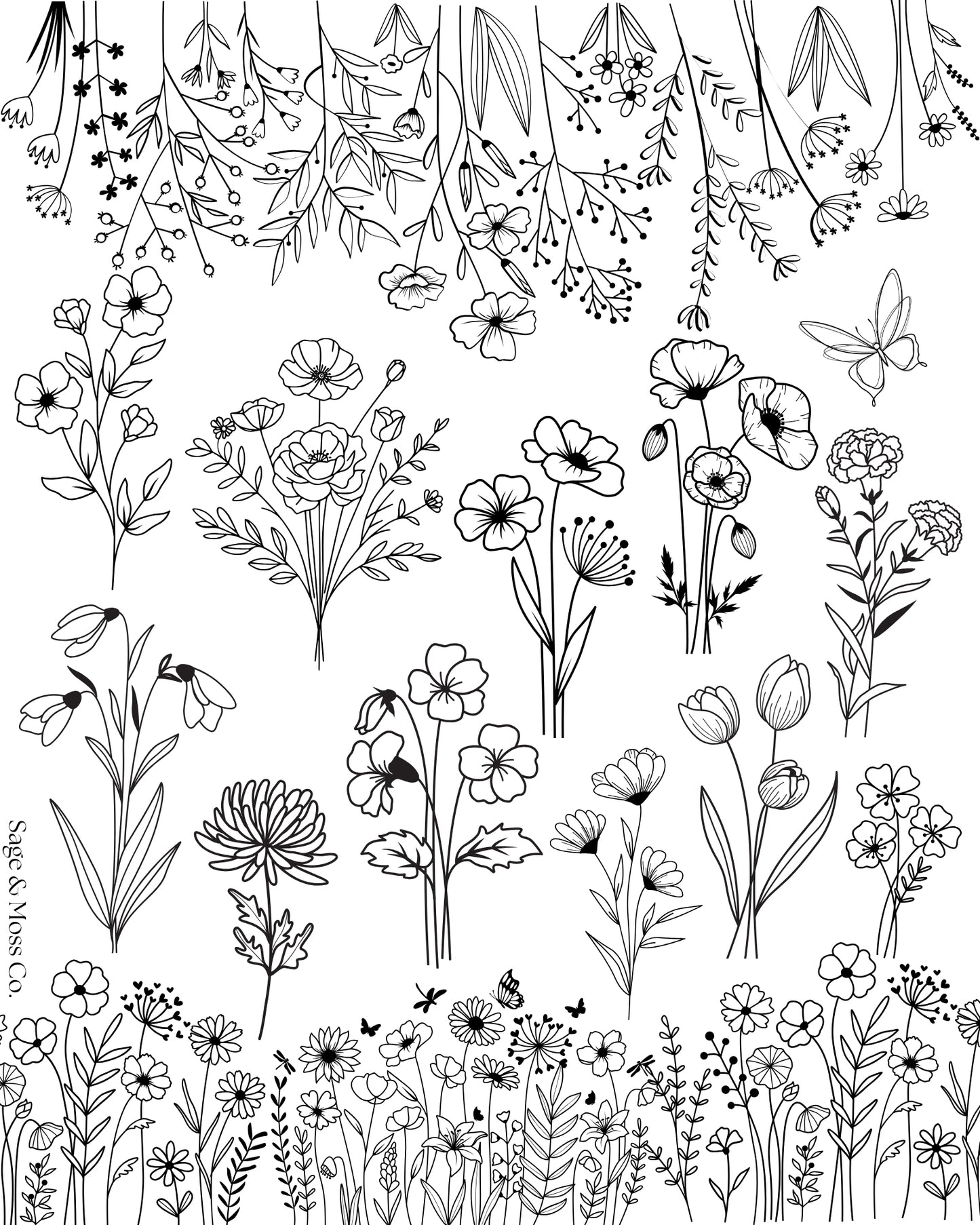 Coloring Book 30 Pages