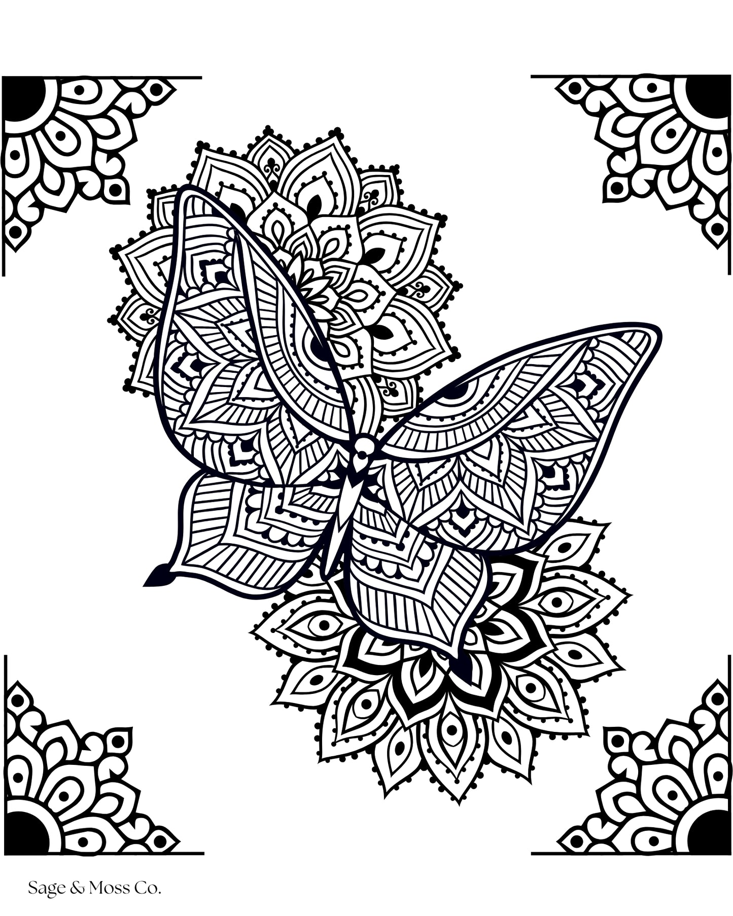 Coloring Book 30 Pages