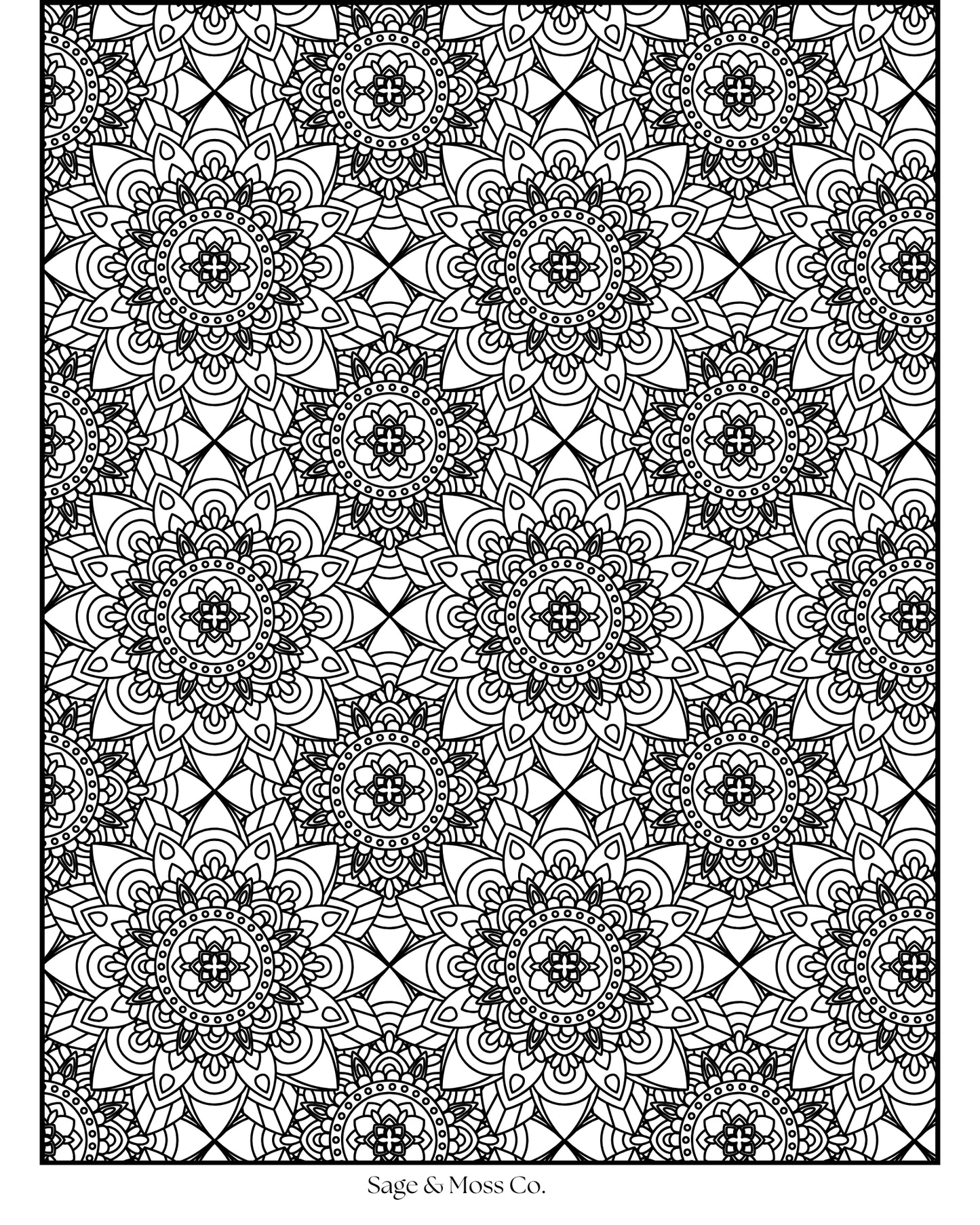 Coloring Book 30 Pages