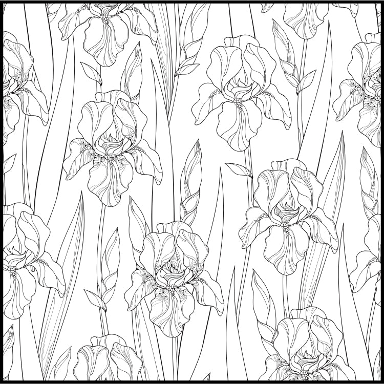 Color Your Own Stickers 12 Pack