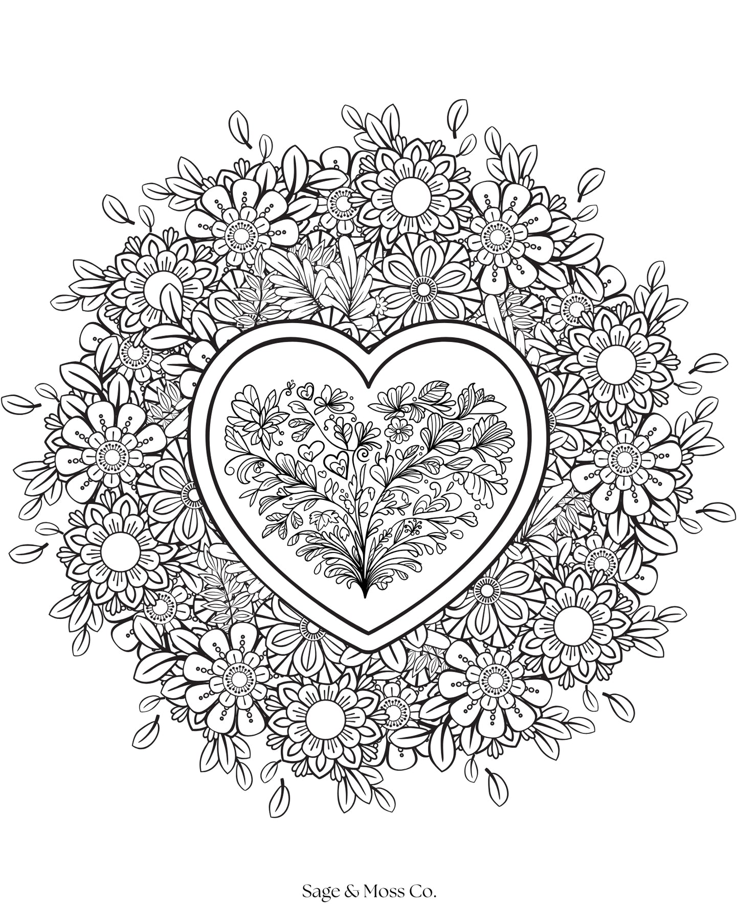 Coloring Book 30 Pages