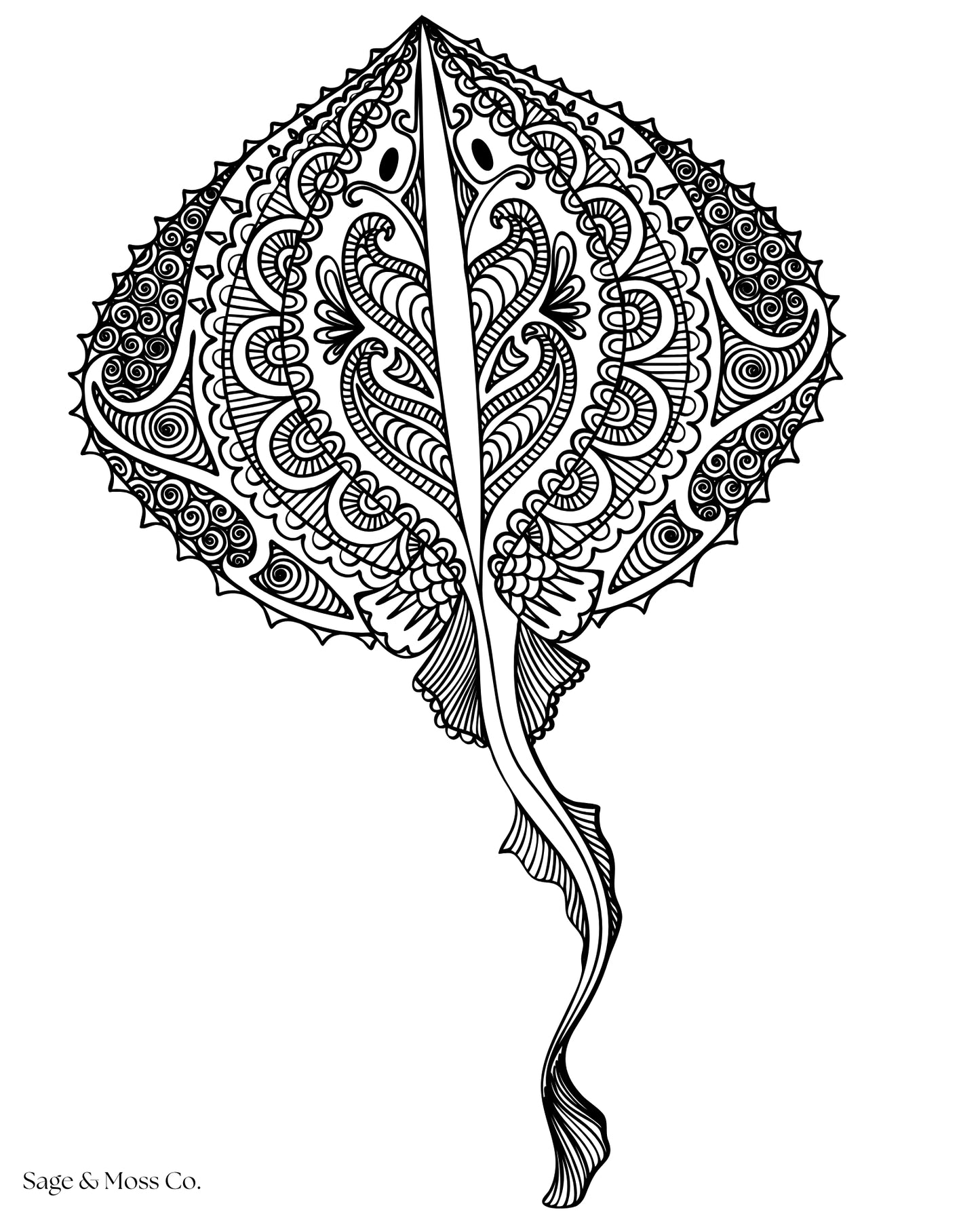 Coloring Book 30 Pages