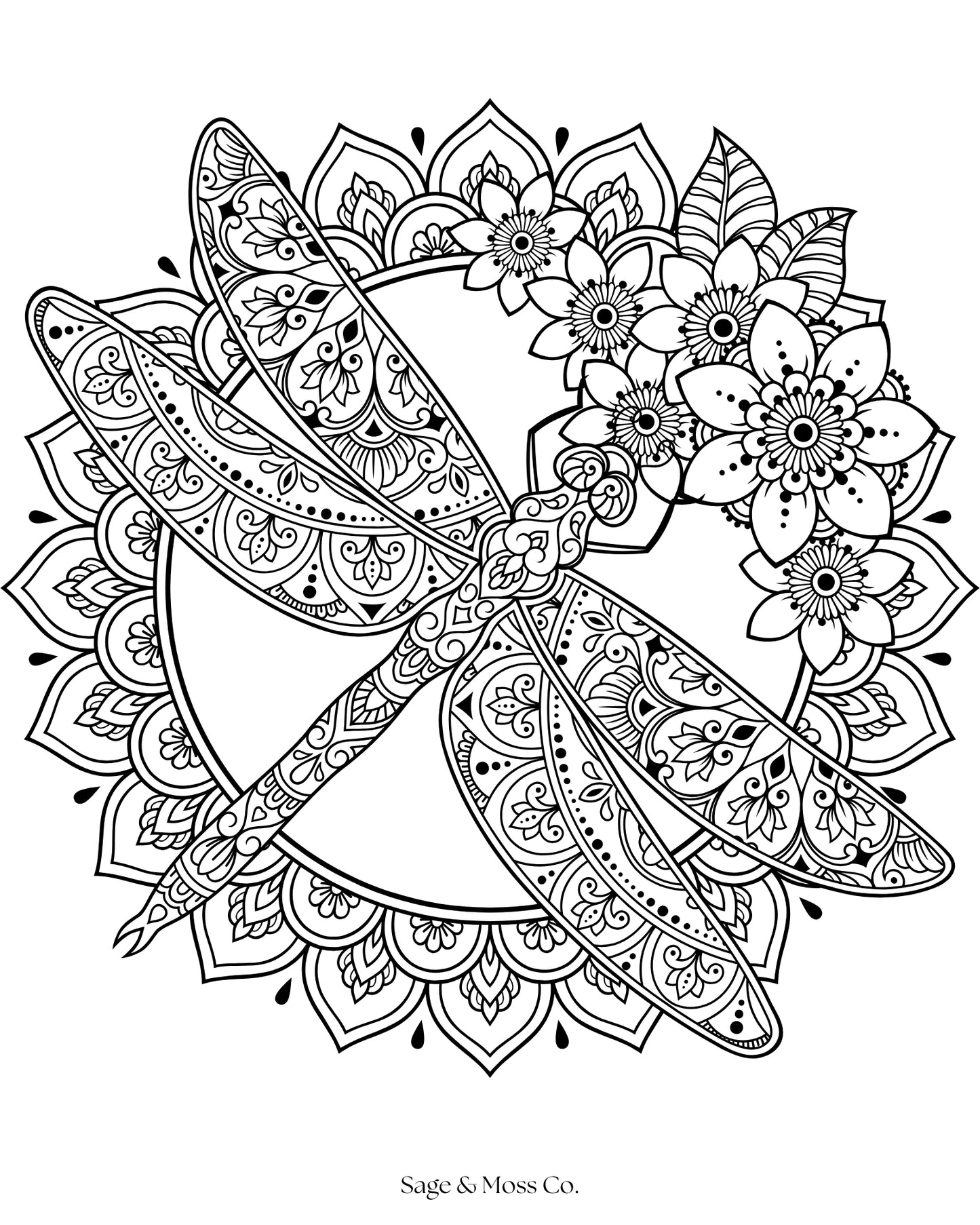 Coloring Book 30 Pages