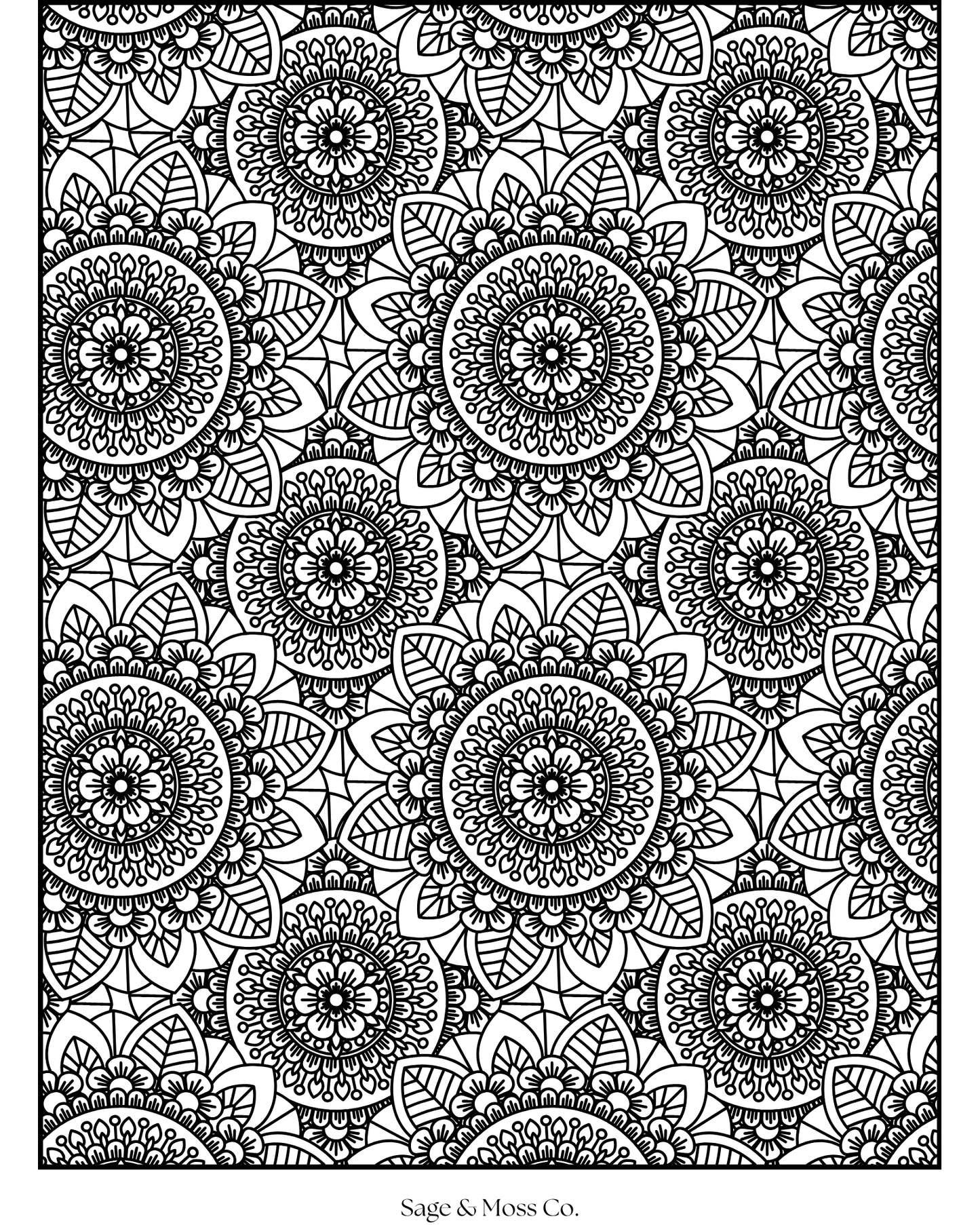 Coloring Book 30 Pages