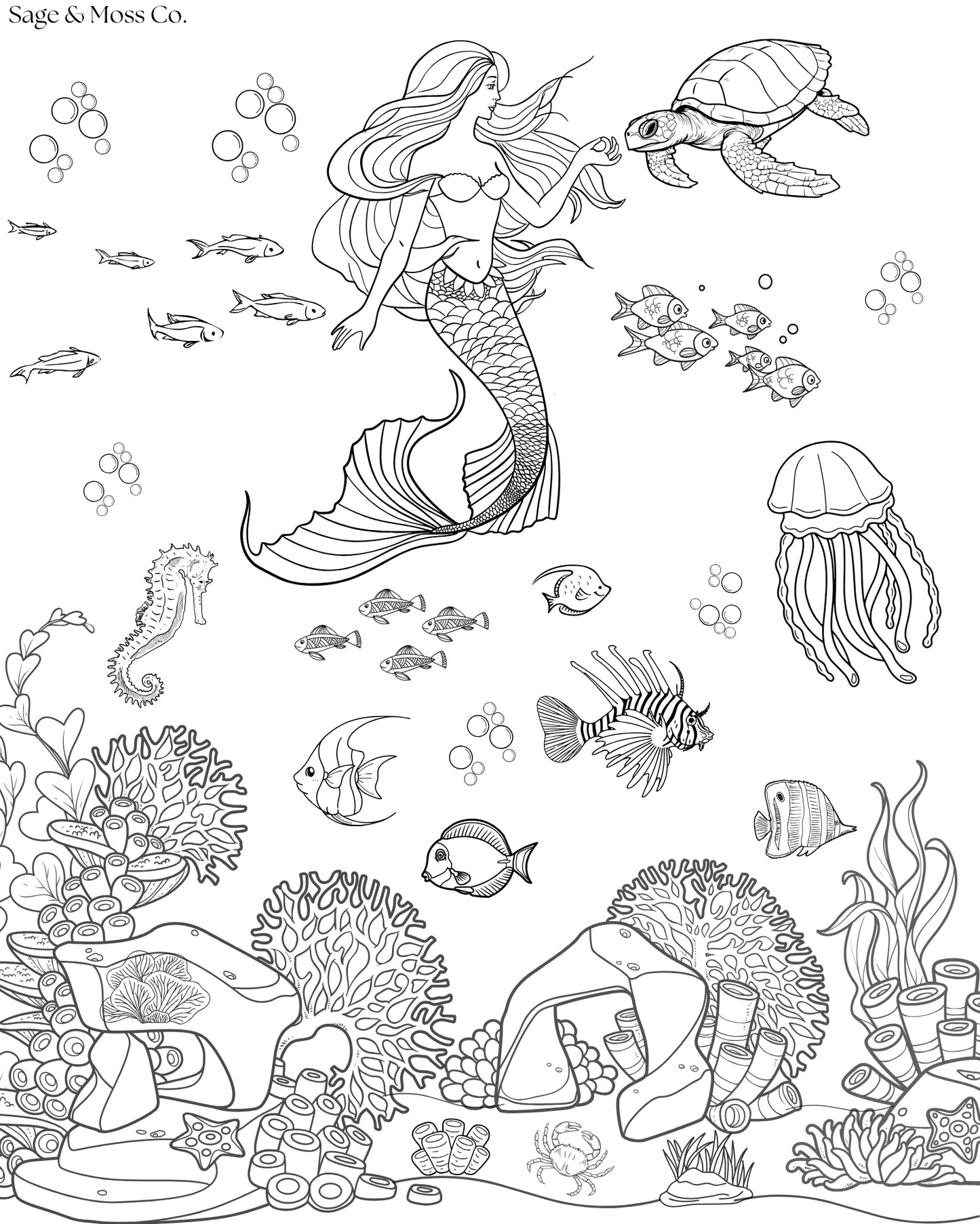 Coloring Book 30 Pages