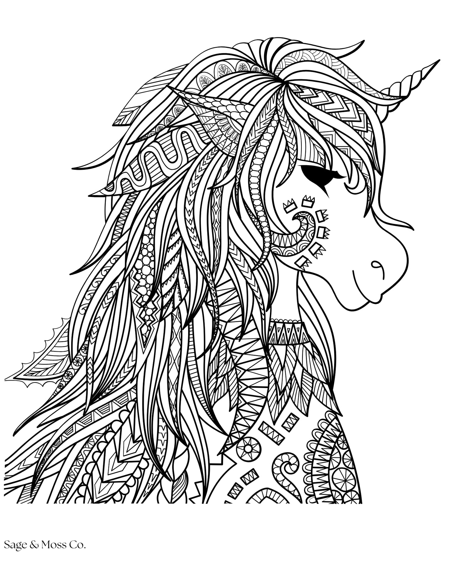 Coloring Book 30 Pages