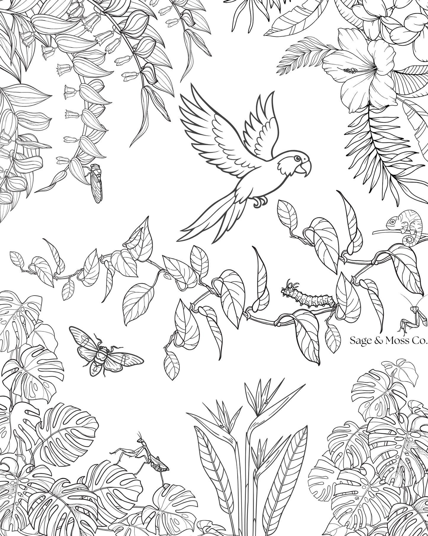 Coloring Book 30 Pages