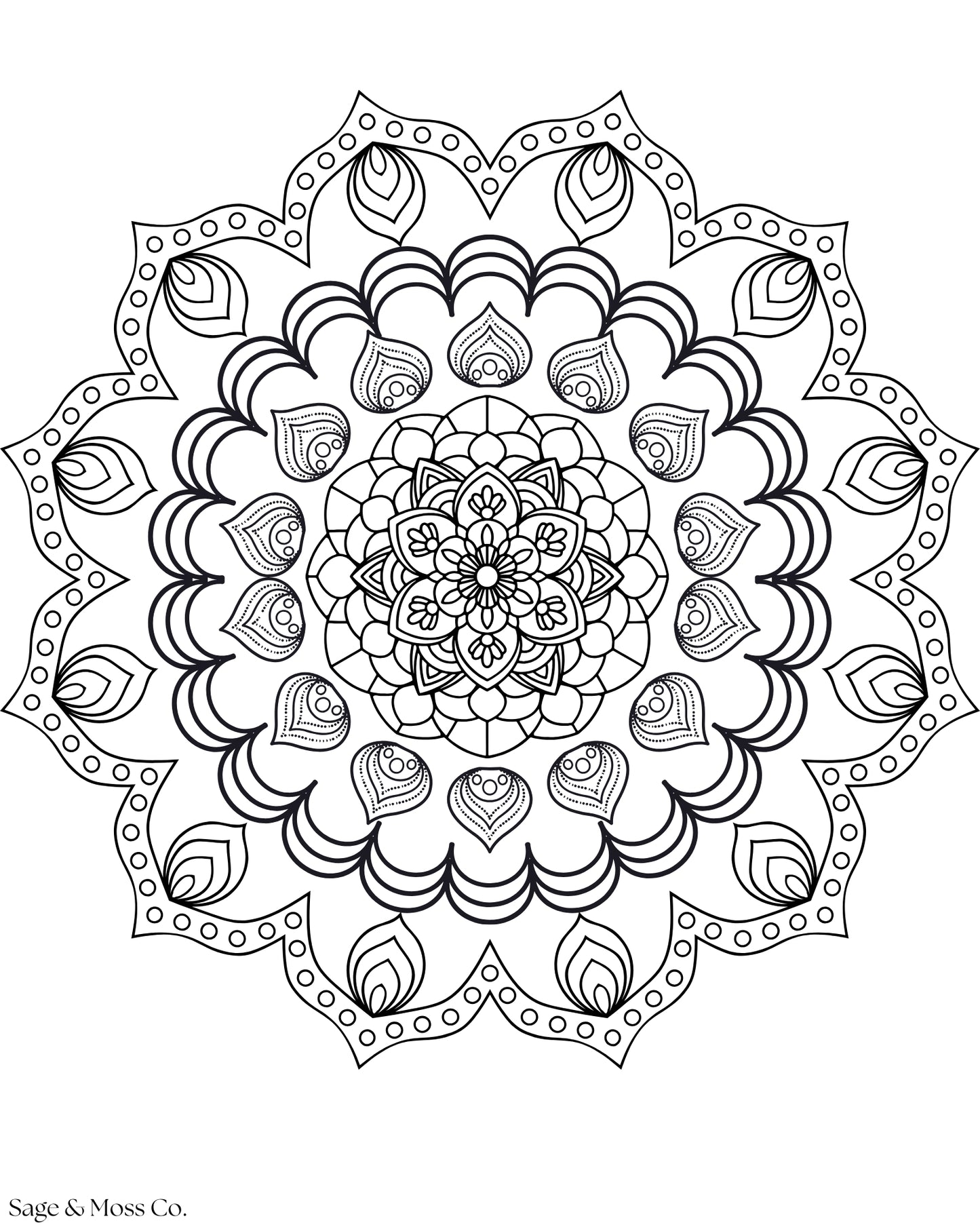 Coloring Book 30 Pages