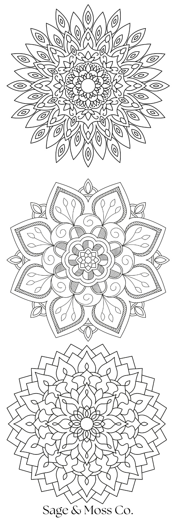 Color your Own Bookmarks