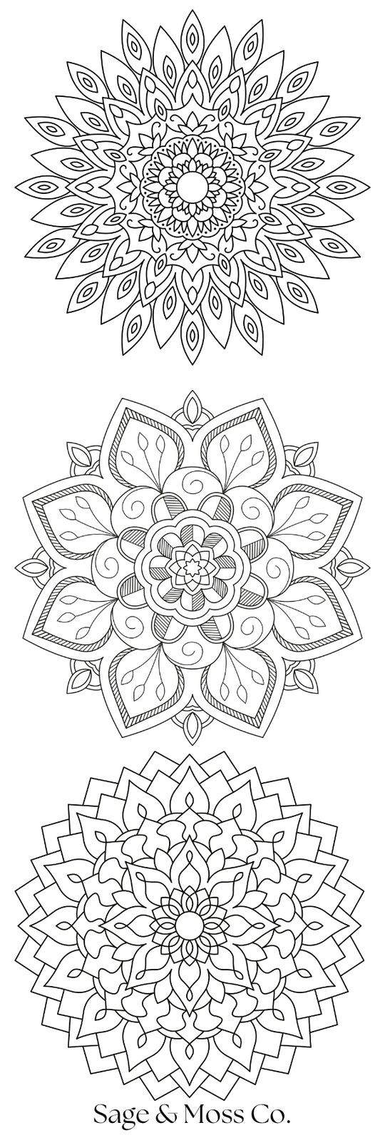 Color your Own Bookmarks